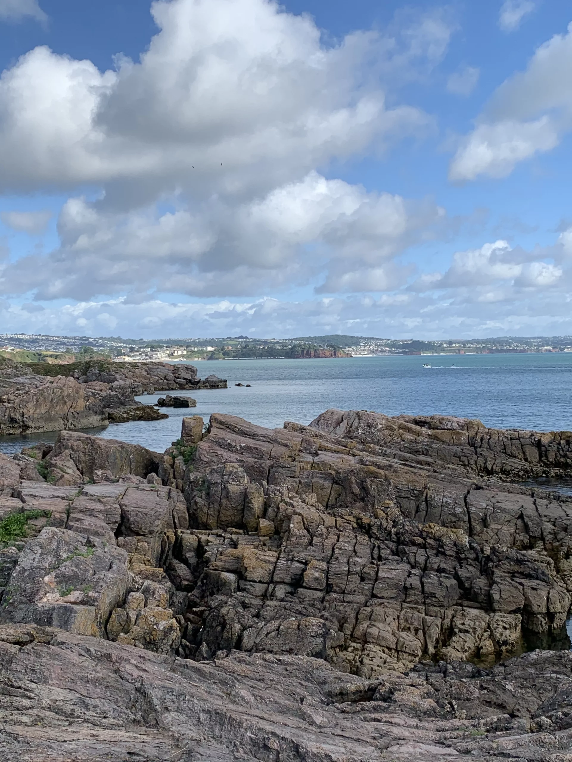 Image of Torbay viewed from Elberry Cove towards Torquay, South West England UK